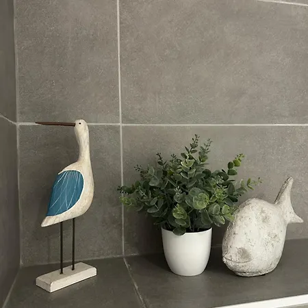 Duplex Proche Strasbourg